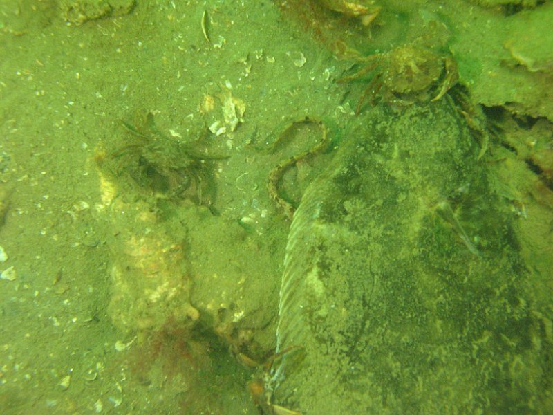 2012-05-12 13-00-45 Ludo.JPG